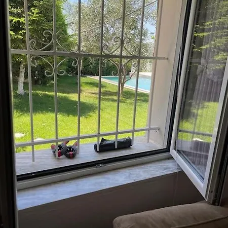 Green Garden & Pool *