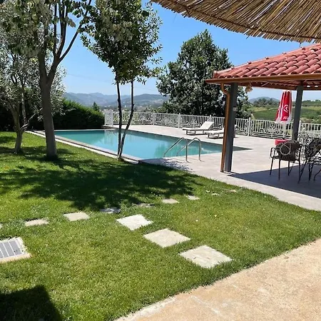 Green Garden & Pool
